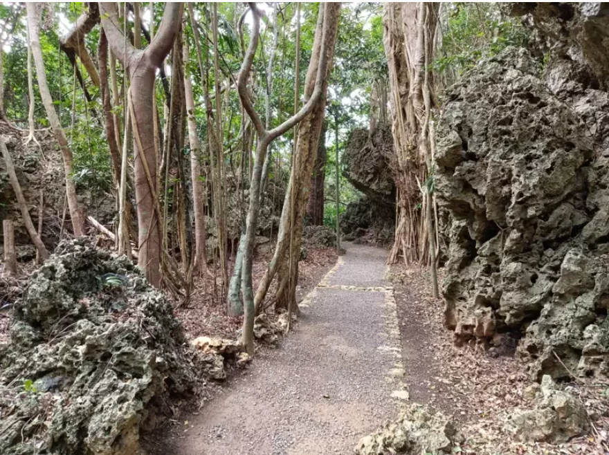 kenting national forest recreation area trail