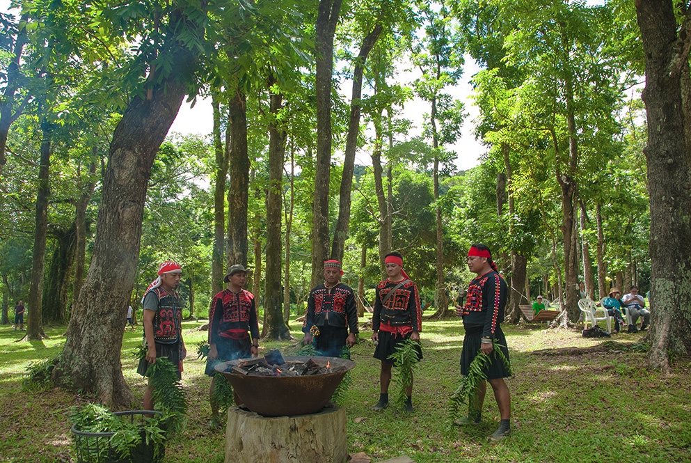 dongyan tribe incident
