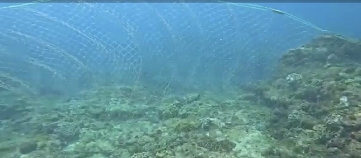 Unraveling the Impact of Illegal Fishing Nets in Kenting
