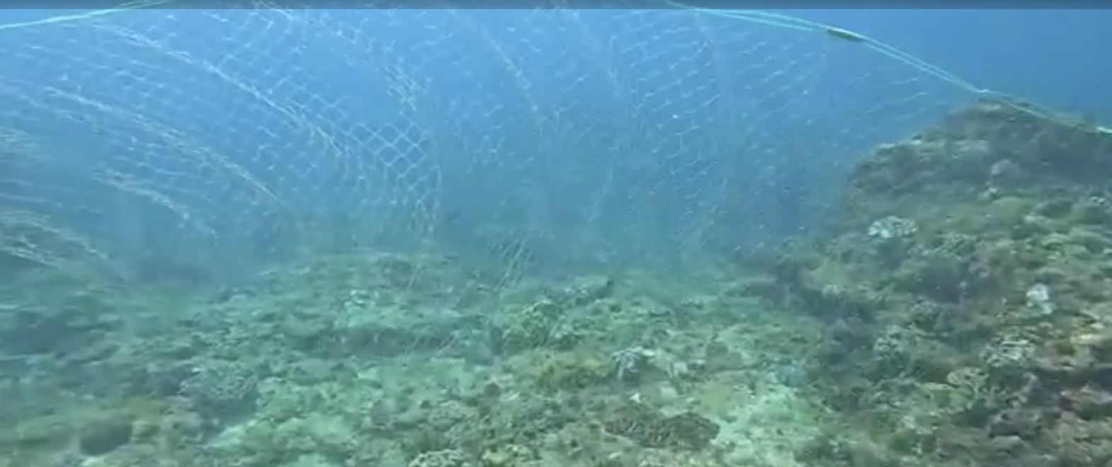 illegal fishing nets kenting